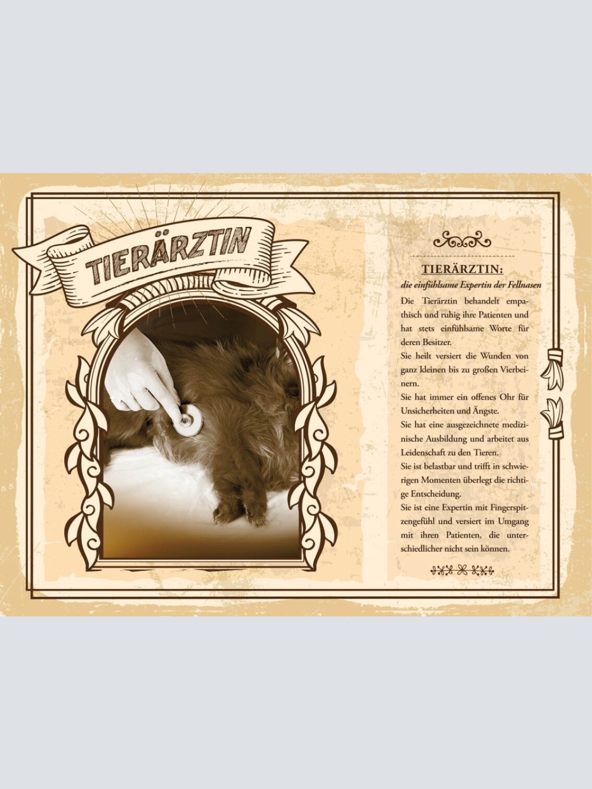 Schild Tierärztin Beruf Tiere Veterinärin Medizin 12x18 20x30 30x40 Blech/Holz