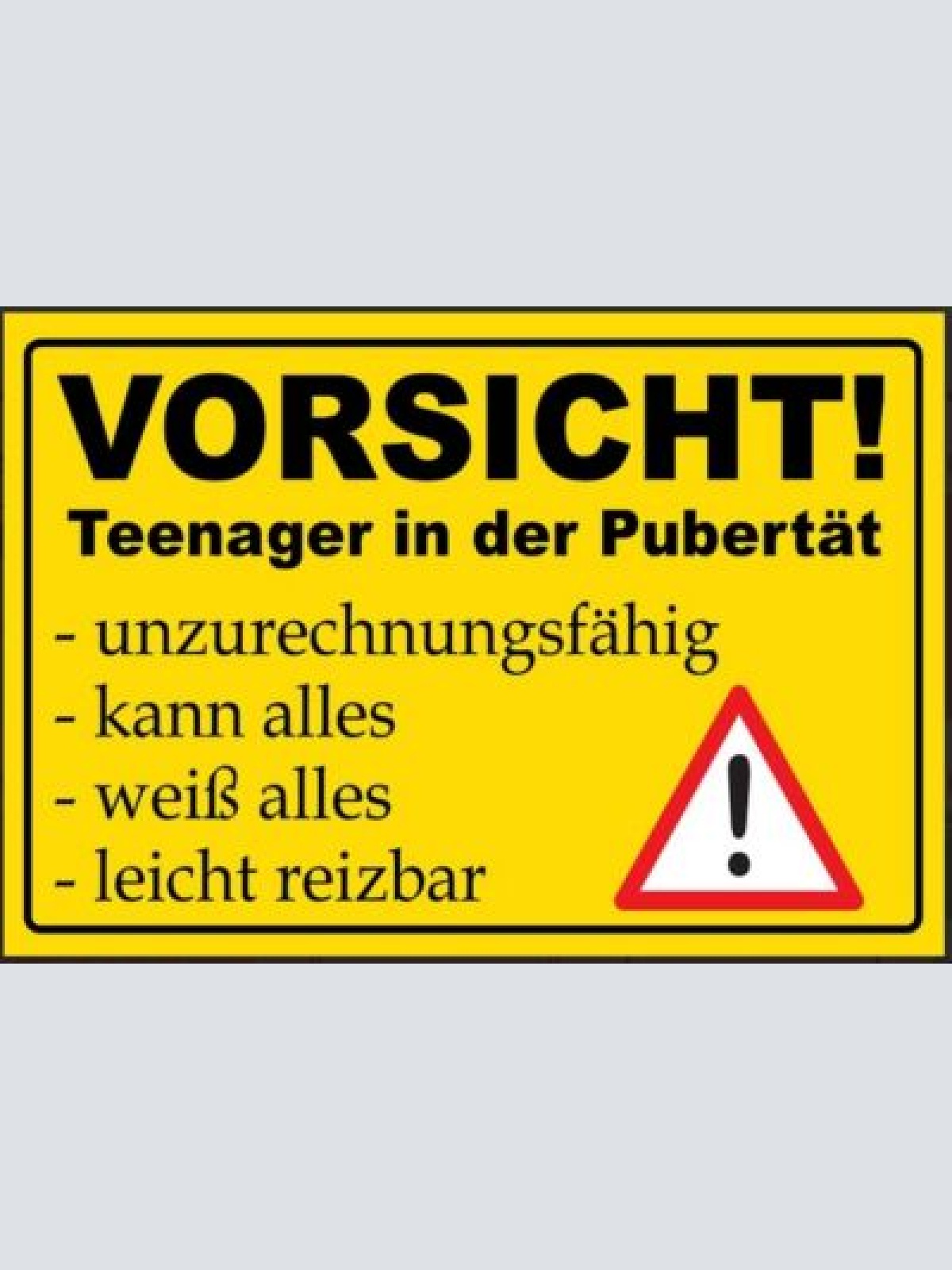 Nostalgie schild teenager in der pupertät  12x18/20x30/30x40 blech od. holz