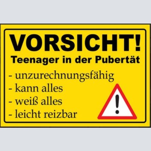 Nostalgie schild teenager in der pupertät  12x18/20x30/30x40 blech od. holz