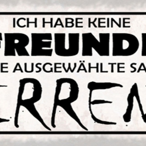 Schild Ich Habe Keine Freunde Ich Habe Eine Ausgewählte Sammlung An Irren 27x10