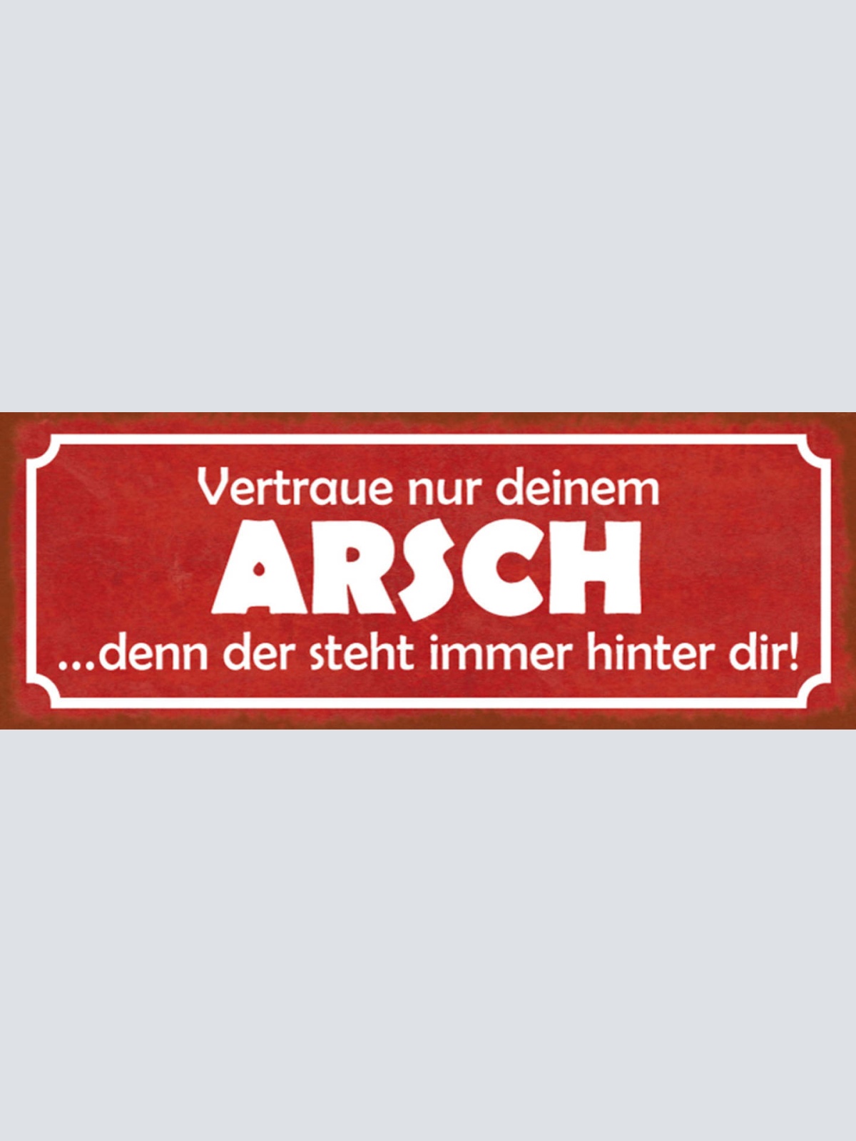 Schild Vertraue Nur Deinen Arsch Denn Der Steht Immer Hinter Dir Hintern 27x10