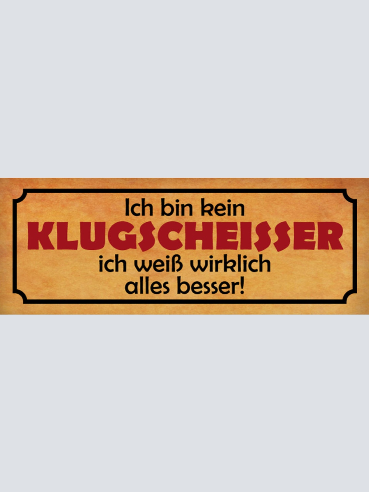 Schild Ich Bin Kein Klugscheisser Ich Weiß Wirklich Alles Besser 27x10