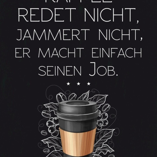 Schild Ich Mag Kaffee Redet Jammert Nicht Job 12x18 20x30 30x40 Blech/Holz LP