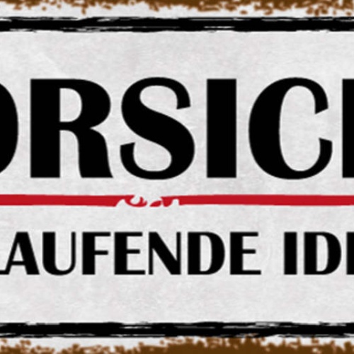 Schild Vorsicht Freilaufende Idioten Achtung Warnung 27x10 Blech od.Holz