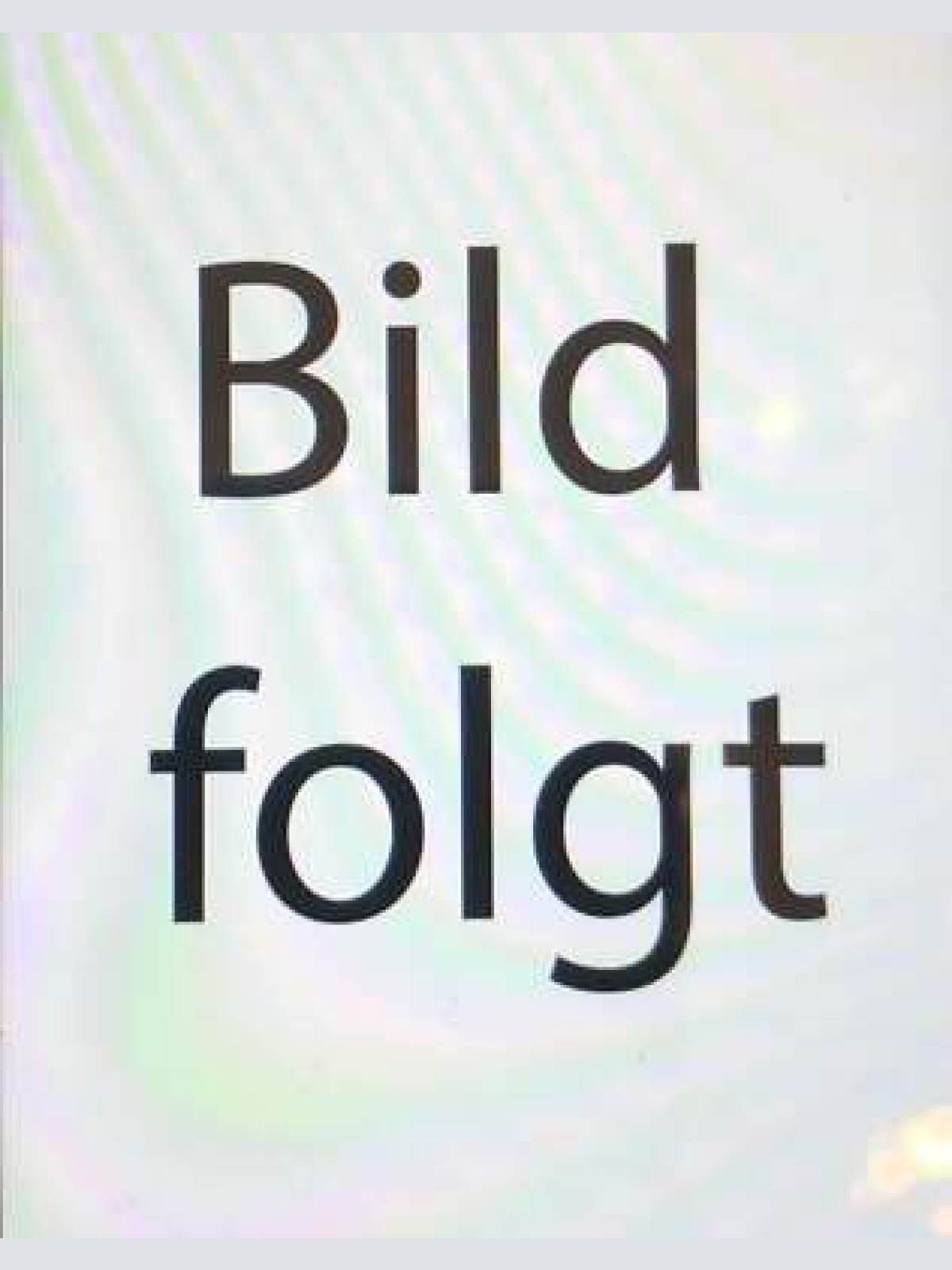 Nostalgie Holzschild Bayern  Lokomotivführer