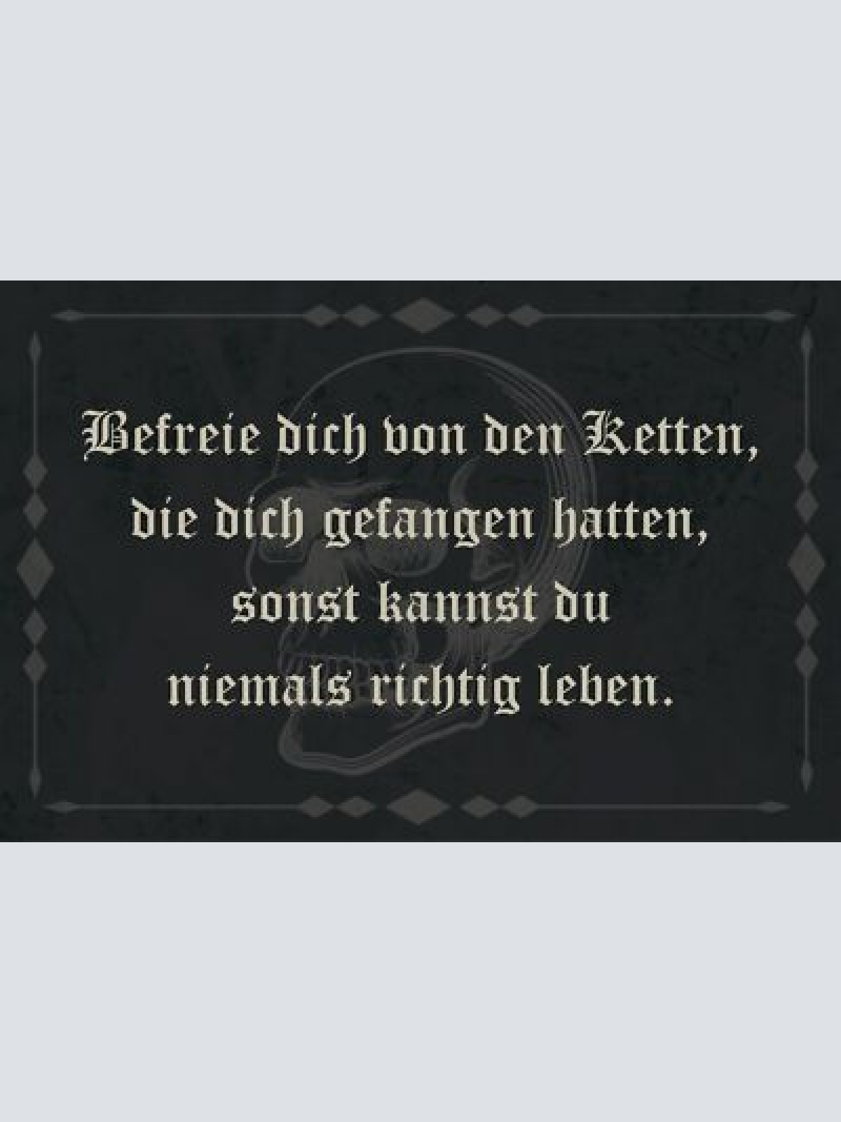 Nostalgie Schild Frei Ketten Richtig Leben 12x18 / 20x30 / 30x40 Blech od.Holz