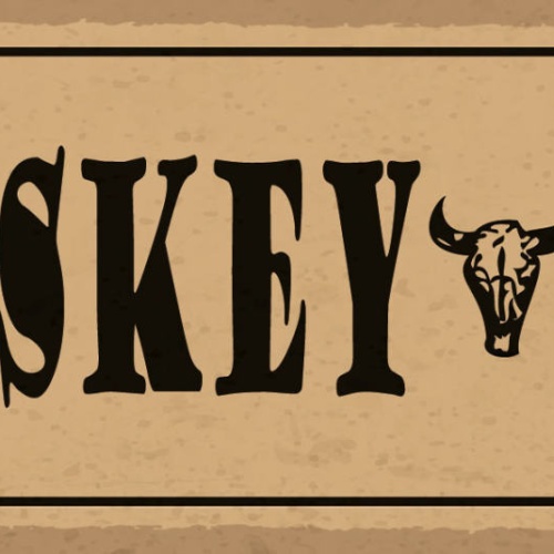 Schild Whiskey Row Whisky Alkohol Spirituose Bar Lokal 27x10 Blech od.Holz