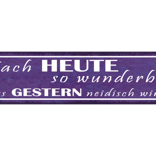 Schild Mach Heute So Wunderbar Dass Morgen Neidisch Wird 46 x 10 Blech od. Holz