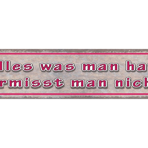 Schild Alles Was Man Hat Vermisst Man Nicht Besitzen 46 x 10 Blech od. Holz