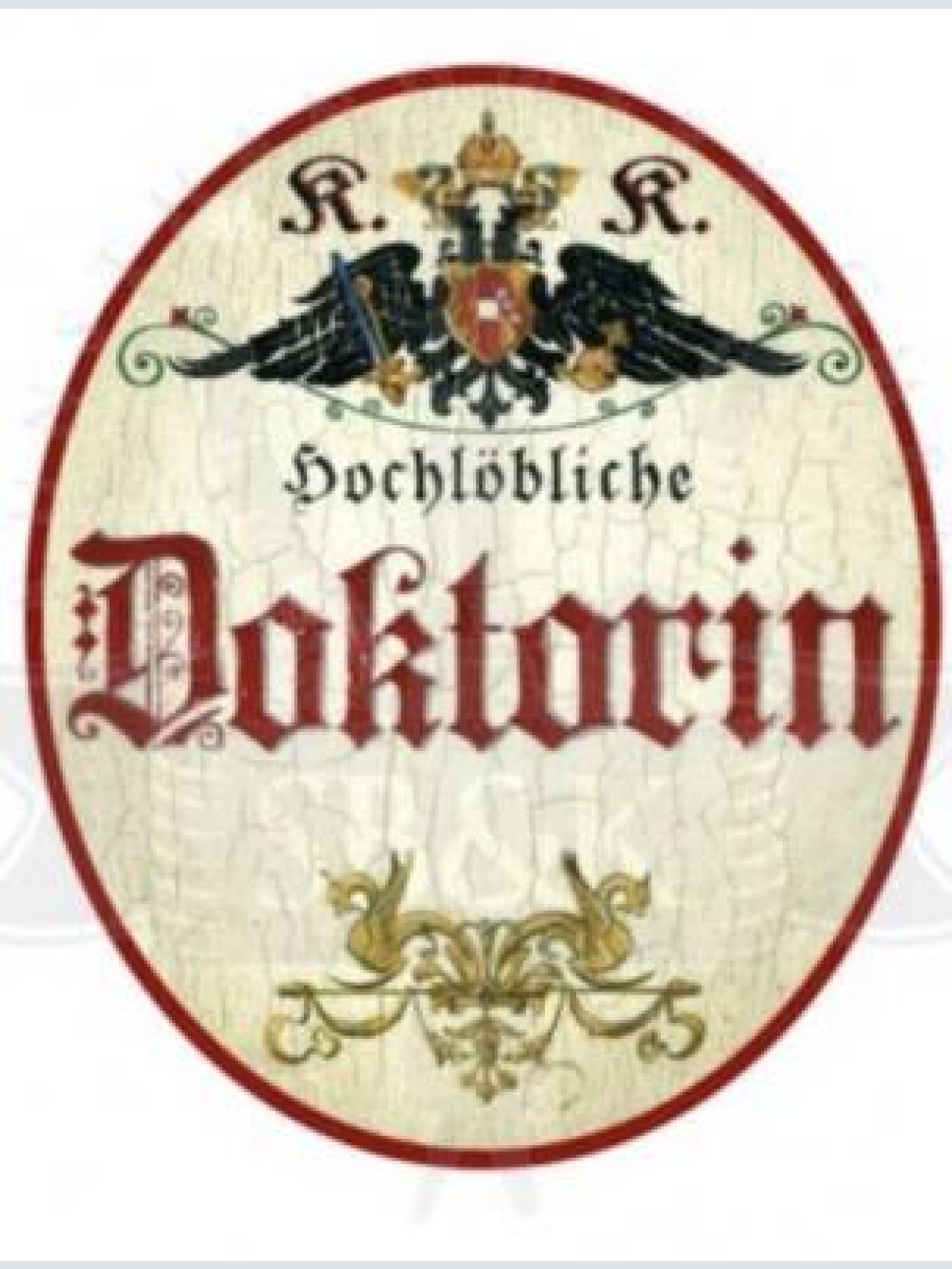 Kuk nostalgie holzschild  hochlöbliche doktorin türschild