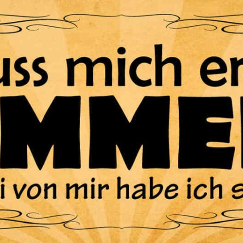 Schild Ich Muss Mich Erstmal Sammeln 3 Von Mir Hab Ich Schon 27x10 Blech od.Holz