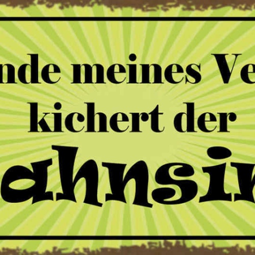 Schild Am Rande Meines Verstands Kichert Der Wahnsinn 27x10 Blech od.Holz
