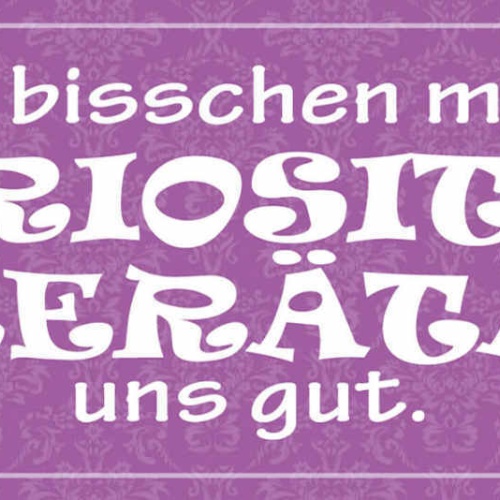 Schild Ein Bisschen Seriösität Täterätäte Uns Gut Ernsthaft 27x10 Blech od.Holz