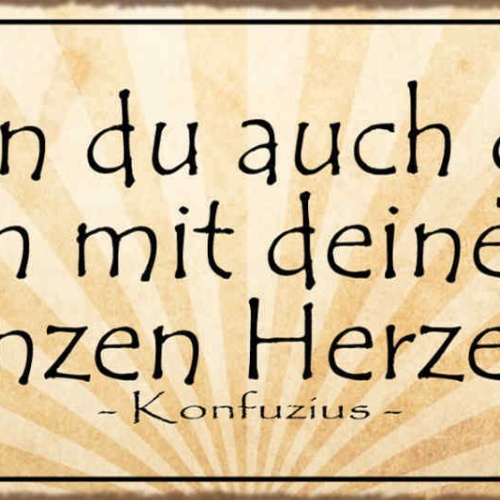 Schild Wohin Du Auch Gehst Gehe Mit Deinem Herzen Konfuzius 27x10 Blech od.Holz