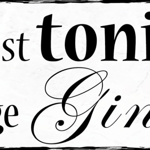 Schild The Best Tonic Has A Large Gin In It Alkohol Getränk 27x10 Blech od.Holz