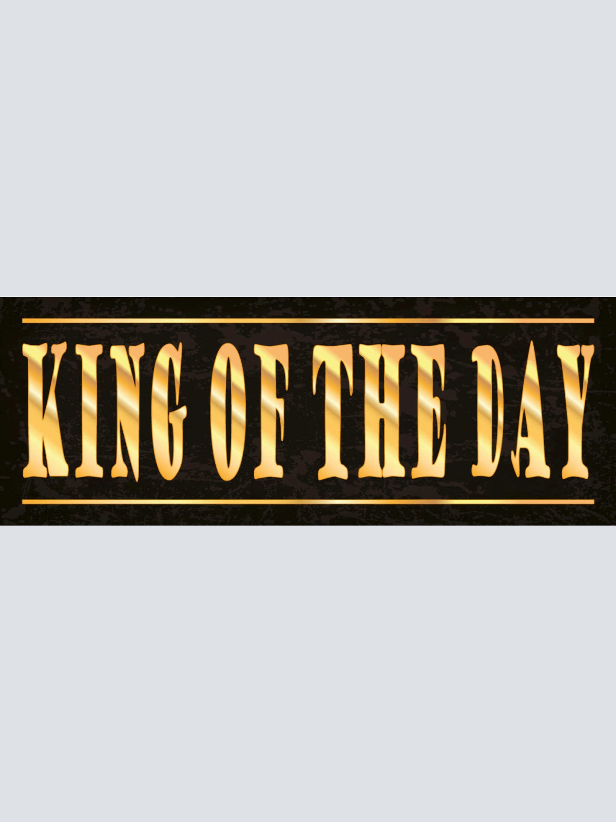 Schild King Of The Day König Des Tages Guter Tag Glück 27x10 Blech od.Holz