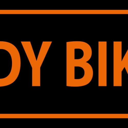 Schild Lady Biker Motorrad Fahrerin Bikerin Frau Moped 27x10 Blech od.Holz