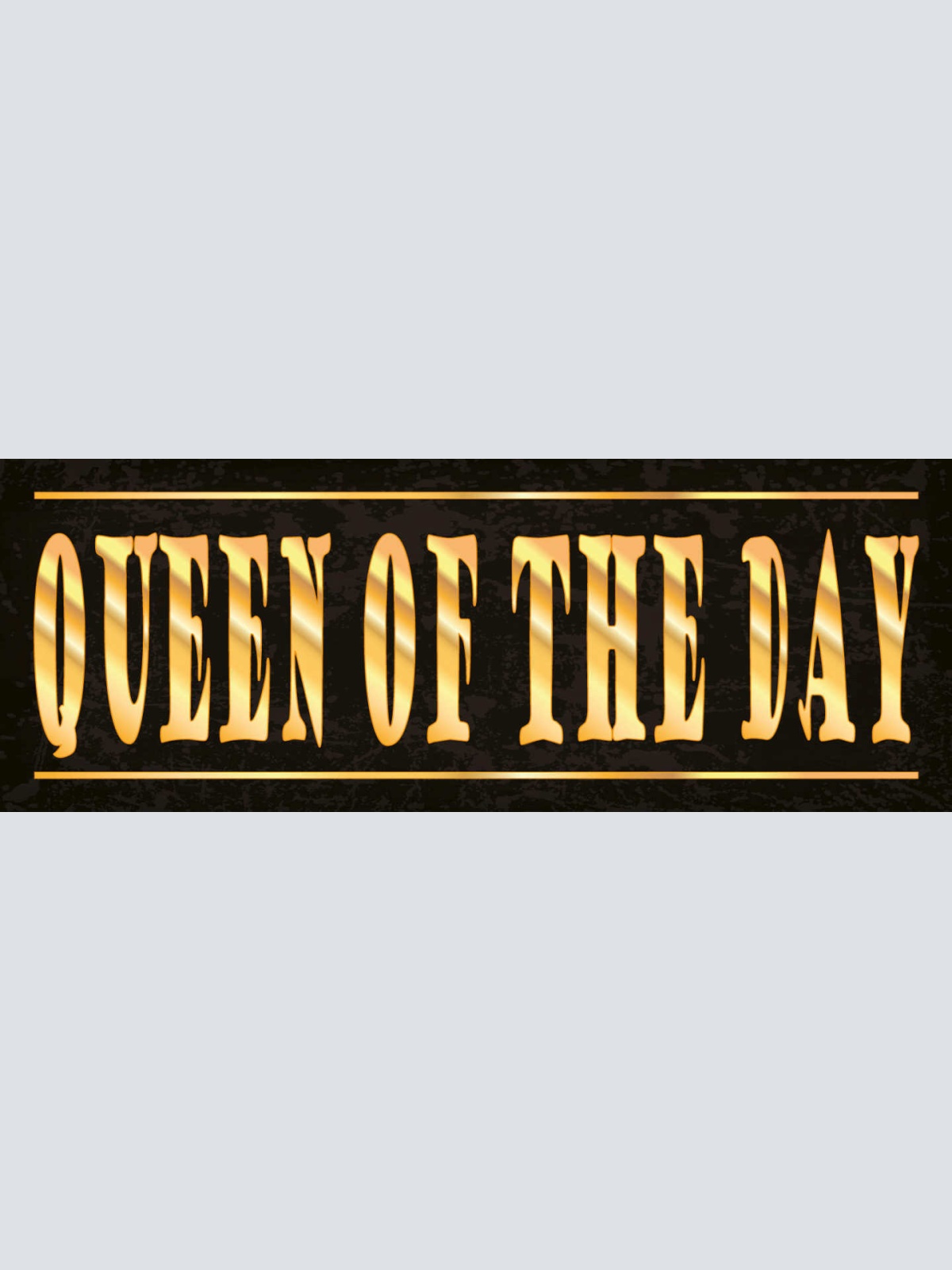 Schild Queen Of The Day Königin Des Tages Guter Tag Glück 27x10 Blech od.Holz