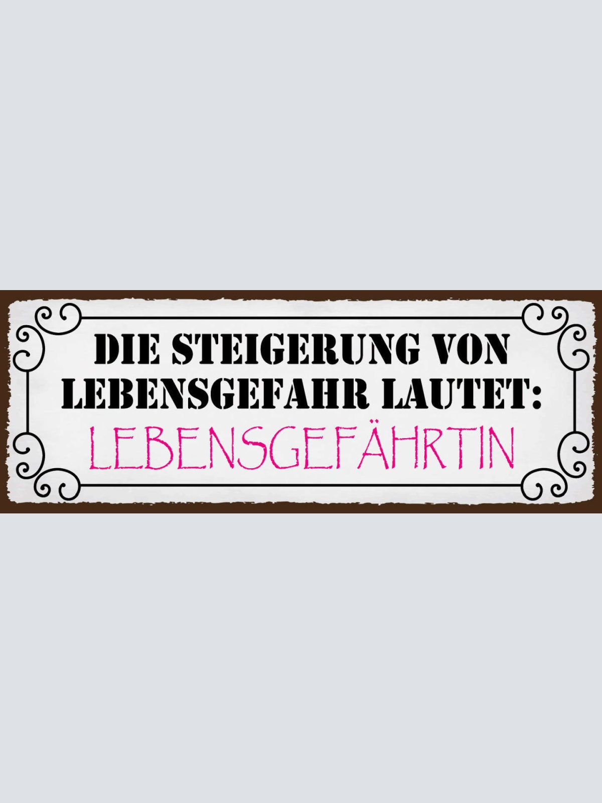 Schild Die Steigerung Von Lebensgefahr Bedeutet Lebensgefährtin Ehe Paar 27x10