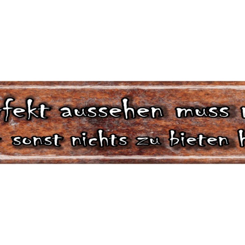 Schild Perfekt Aussehen Nur Wer Sonst Nichts Zu Bieten Hat 46 x 10 Blech od.Holz