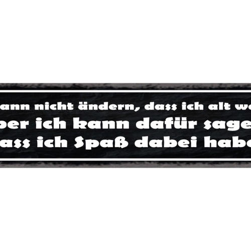Schild Nichts Ändern Alt Werden Dafür Sorgen Spaß Zu Haben 46 x 10 Blech od.Holz