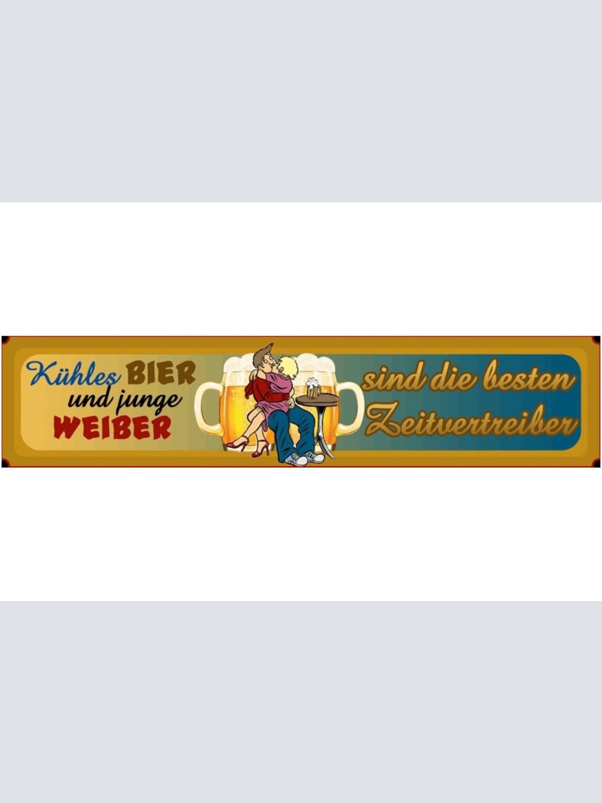 Schild Kühles Bier Junge Weiber Alkohol Frau Zeitvertreib 46 x 10 Blech od. Holz