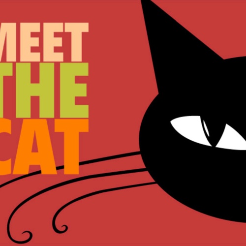 Schild Spruch Meet the cat Triff die Katze Comic JW