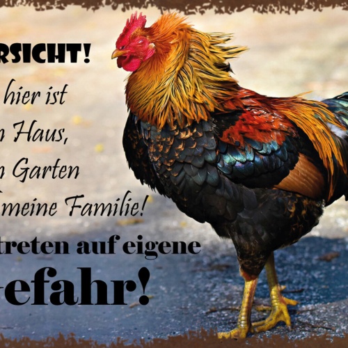 Schild Spruch Vorsicht Mein Haus Mein Garten Meine Familie Hahn JW