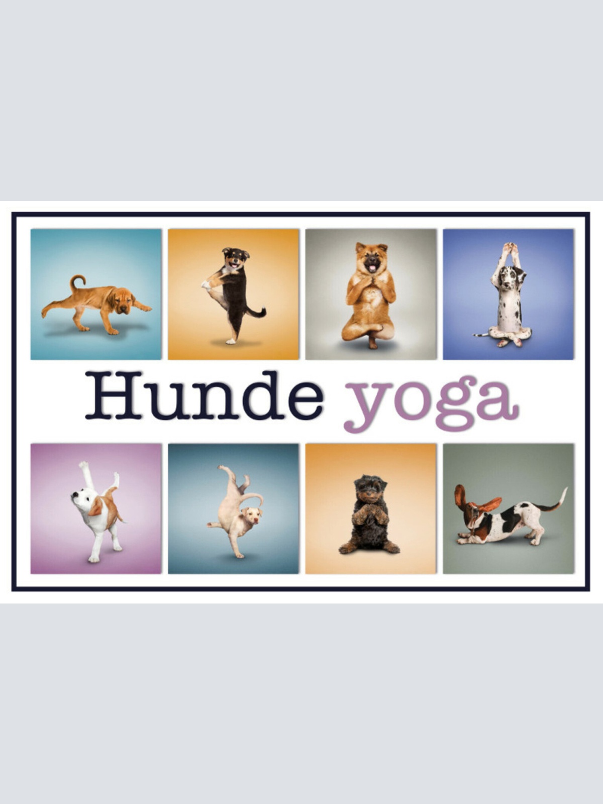 Schild Spruch Hunde Yoga JW