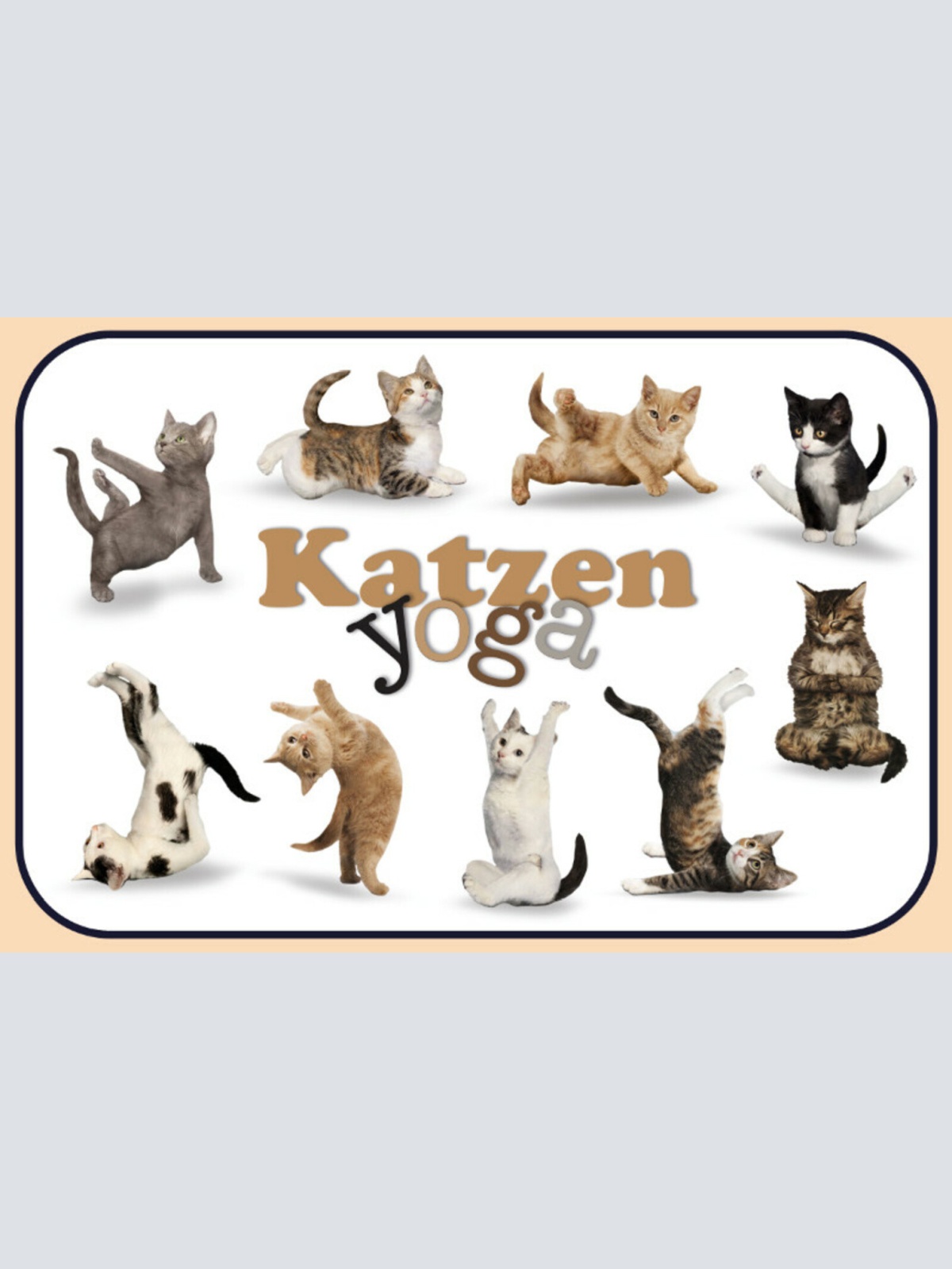 Schild Spruch Katzen Yoga JW