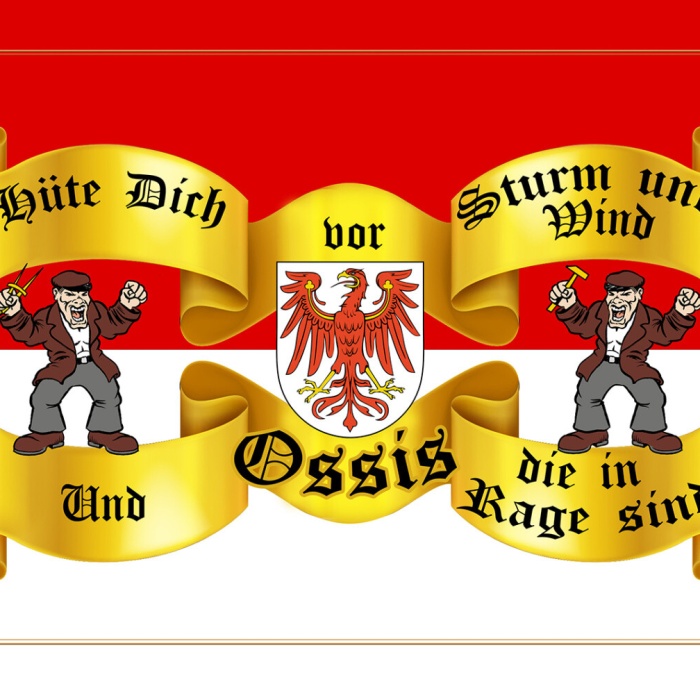 Schild Spruch Hüte dich vor Strum und Wind und Ossis die in Rage sind DDR JW