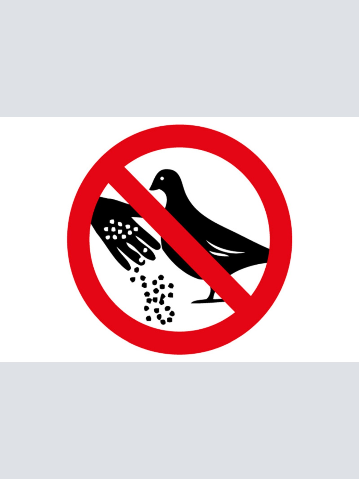 Schild Spruch Tauben füttern verboten Warnung JW