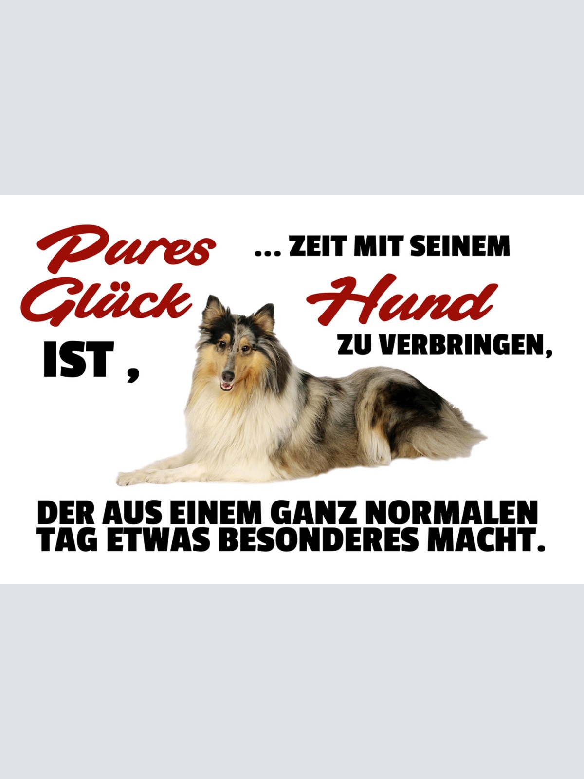 Schild Spruch Pures Glück ist Zeit mit seinem Hunde zu verbringen JW