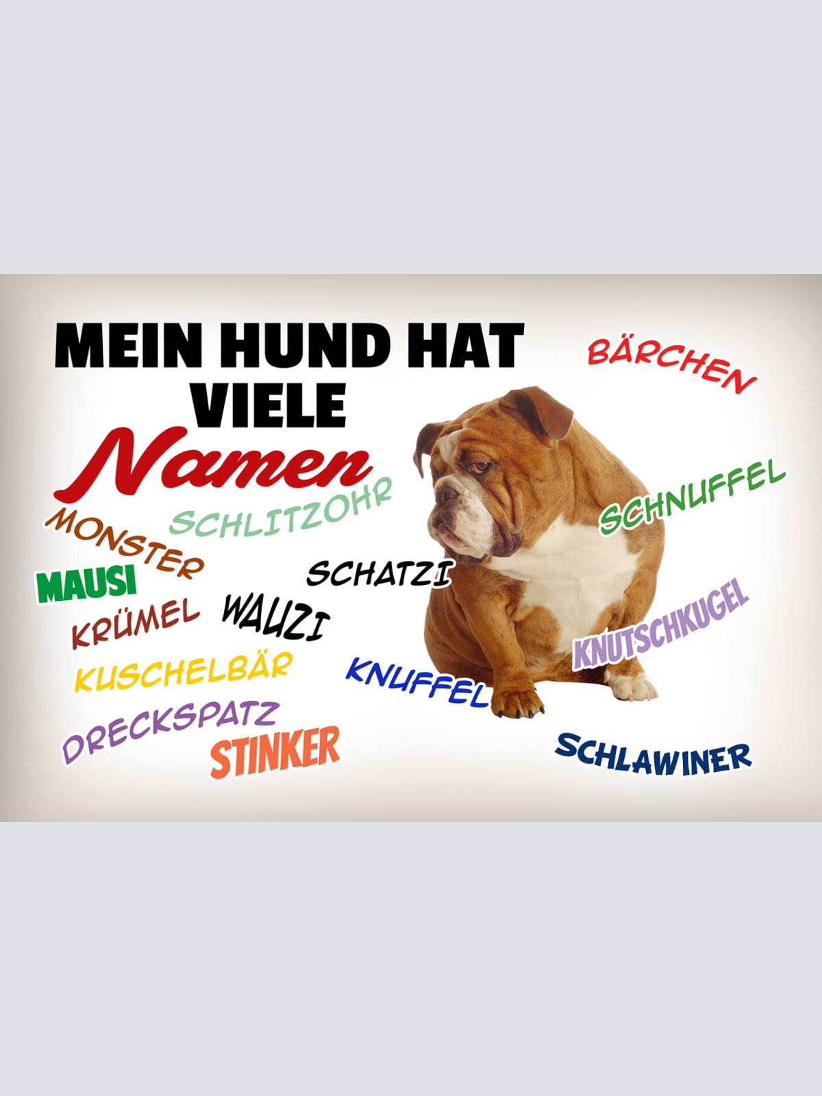 Schild Spruch Mein Hund hat viele Namen Wauzi Krümel Schlawiner Stinker JW