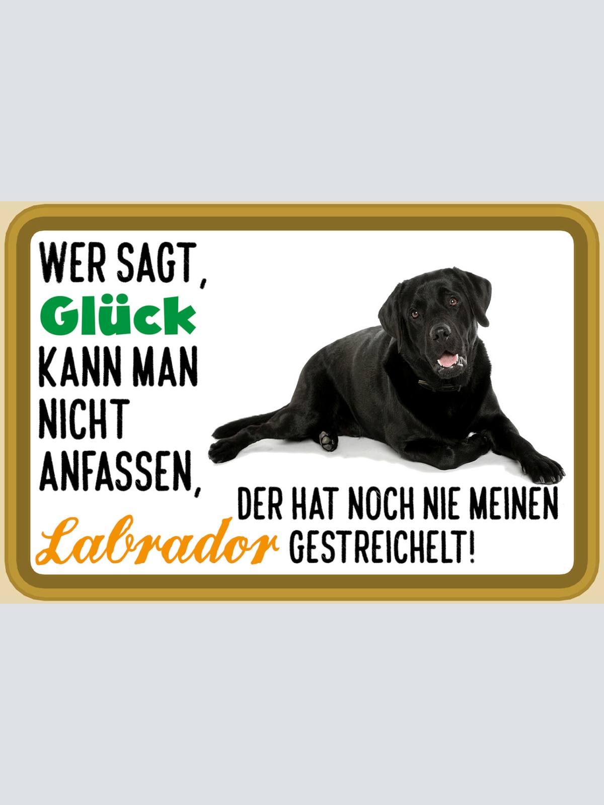 Schild Spruch Wer sagt Glück kann man nicht anfassen Labrador gestreichelt JW