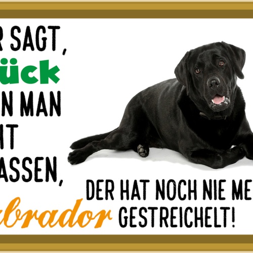 Schild Spruch Wer sagt Glück kann man nicht anfassen Labrador gestreichelt JW
