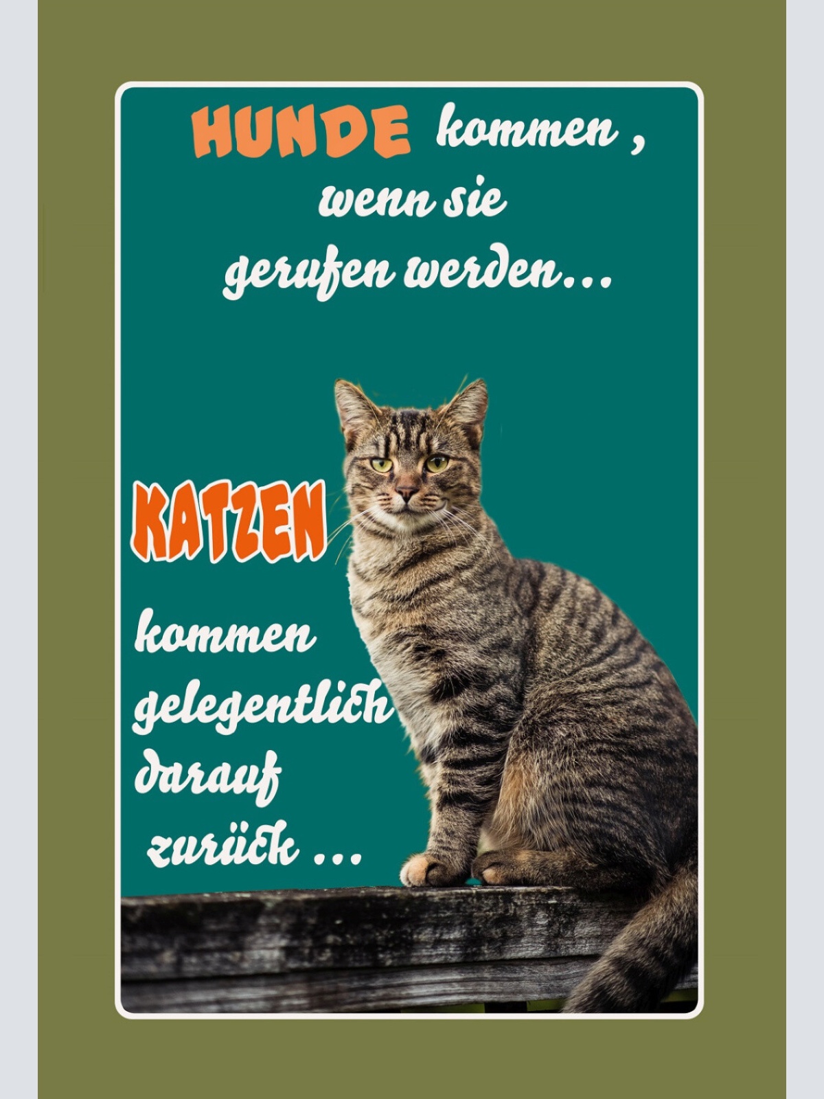 Schild Spruch Hunde kommen wenn gerufen Katzen kommen darauf zurück JW