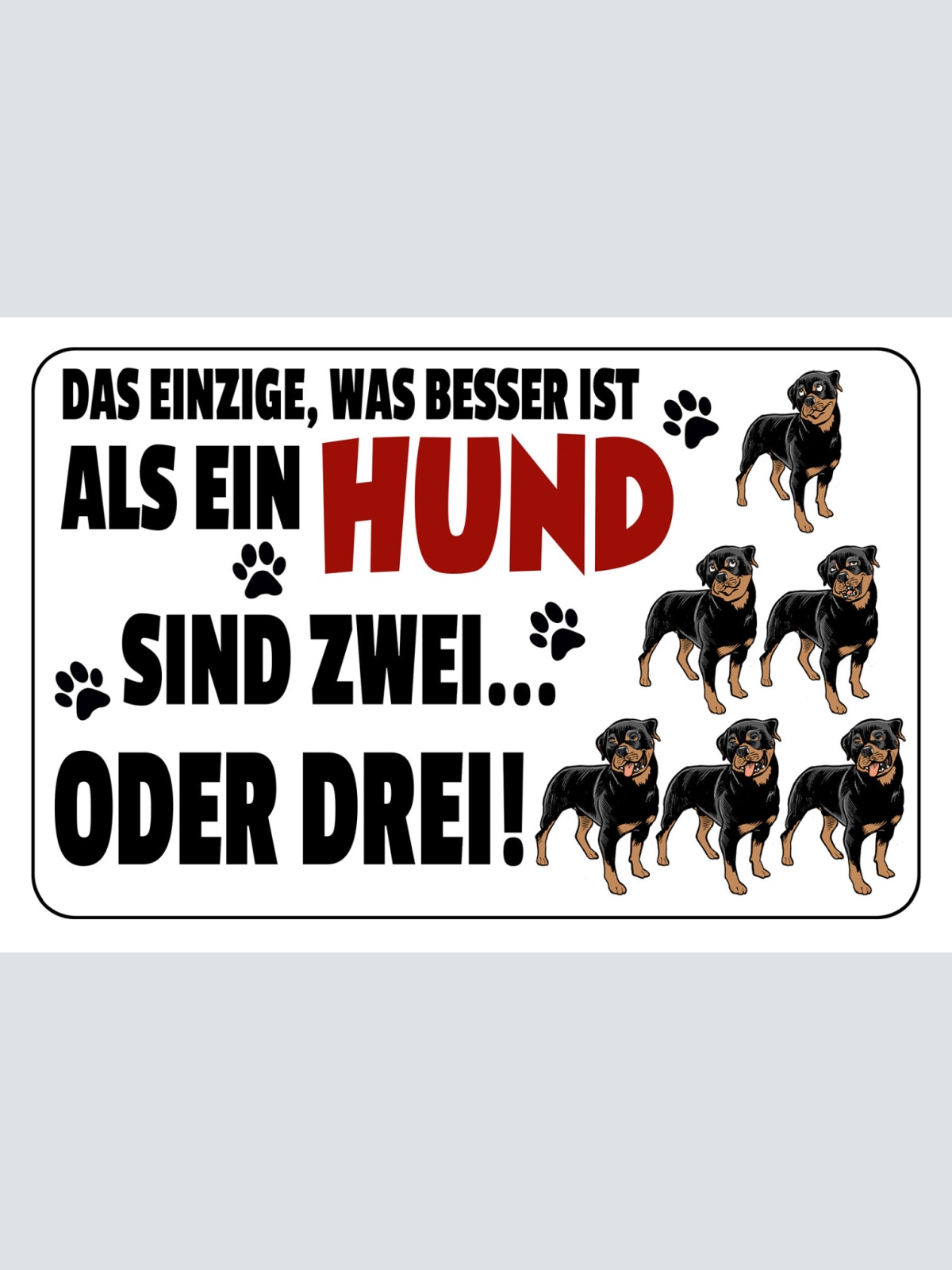 Schild Spruch Was besser ist als ein Hund sind zwei oder drei JW