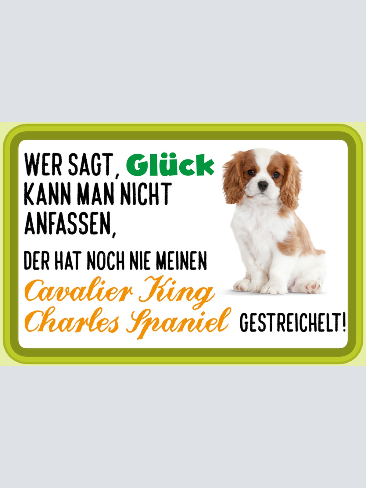 Schild Spruch Wer sagt Glück nicht anfassen nie Cavalier King Charles Spaniel JW