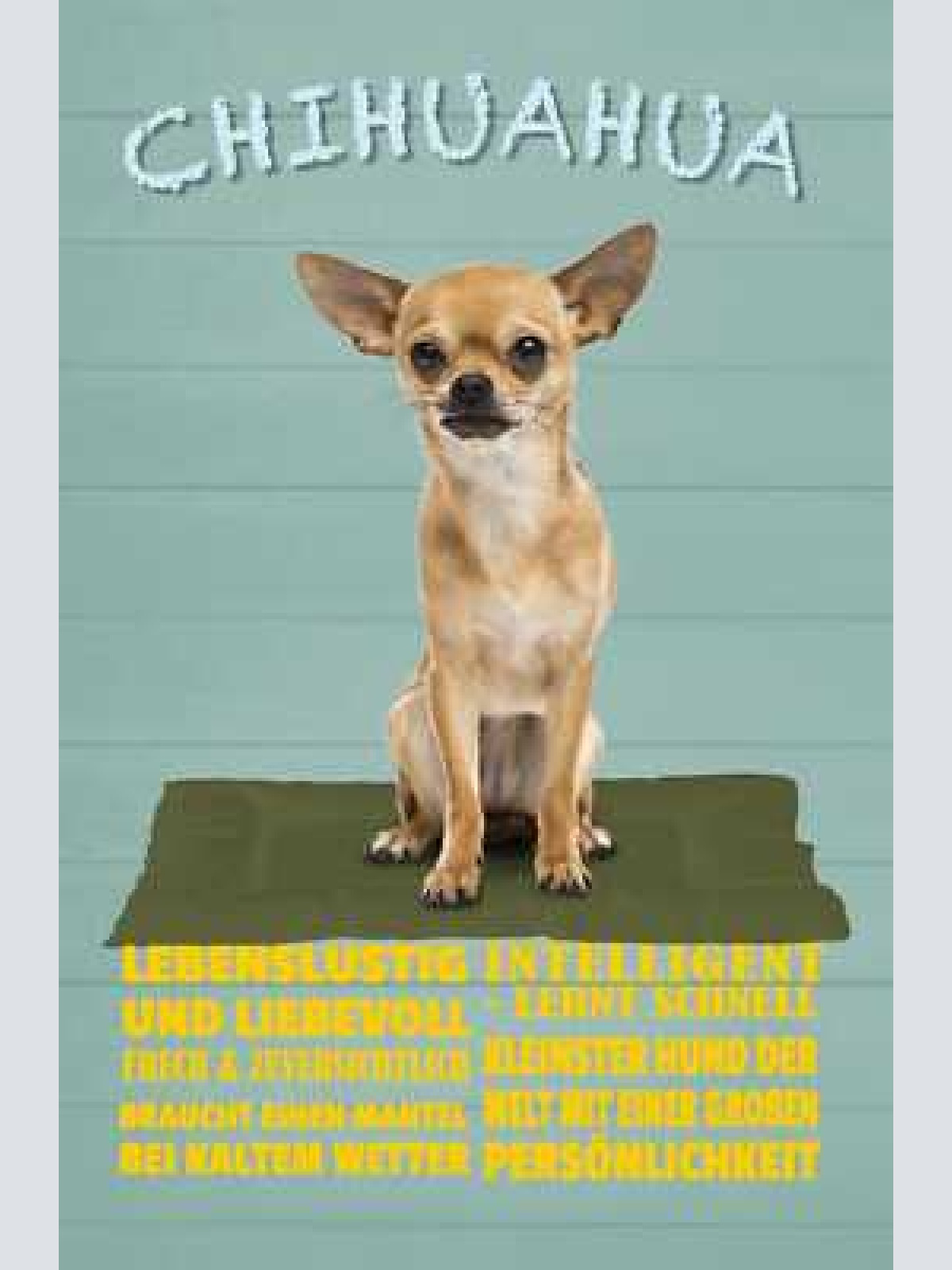 Schild spruch chihuahua steckbrief intelligent lebenslustig liebevoll hund jw