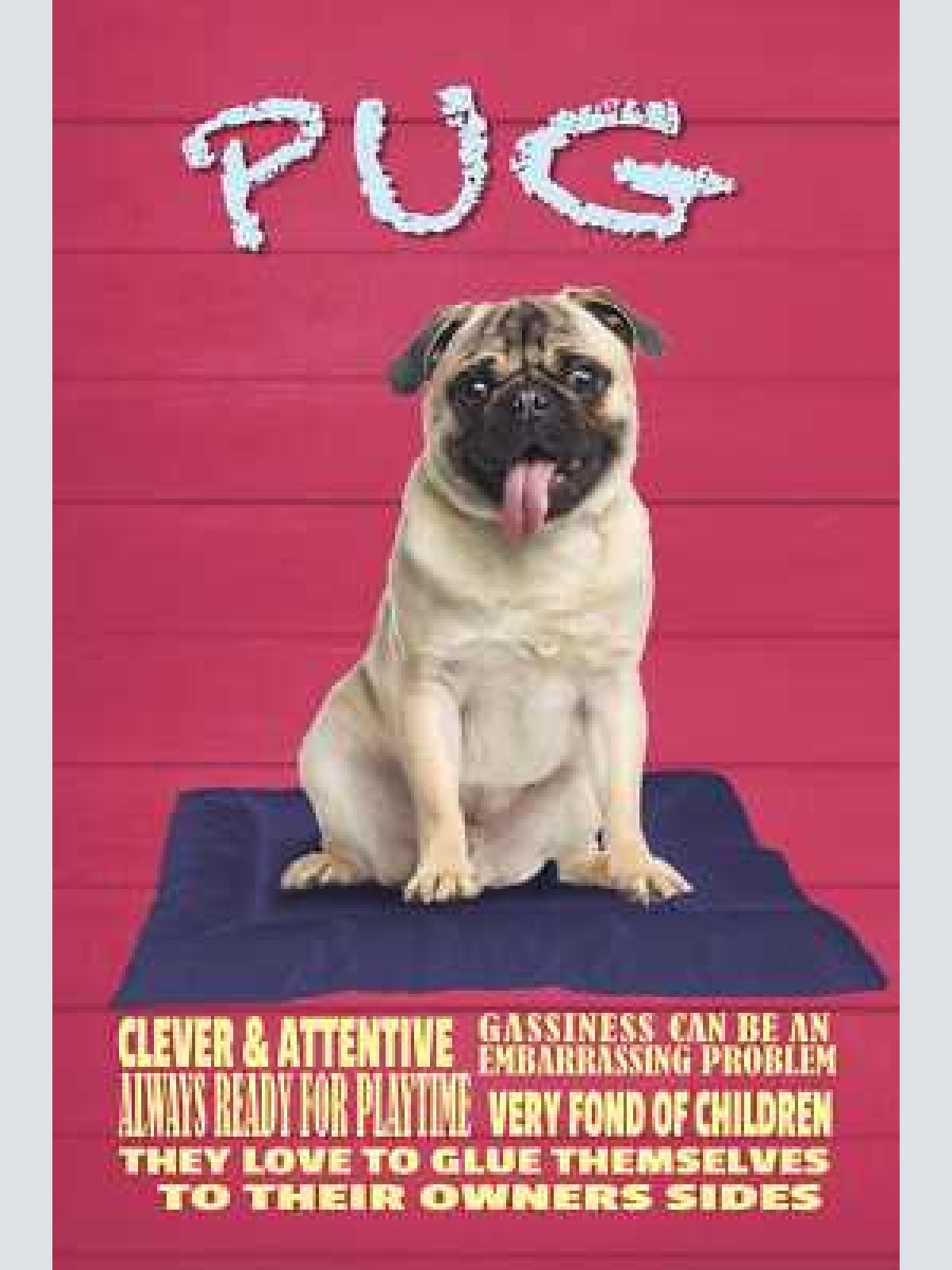 Schild spruch pug mops steckbrief always ready for playtime verspielt hund jw