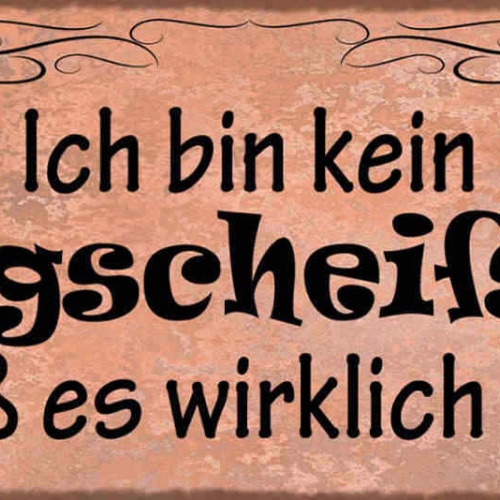 Schild Ich Bin Kein Klugscheißer Ich Weiß Es Wirklich Besser 27x10 Blech od.Holz