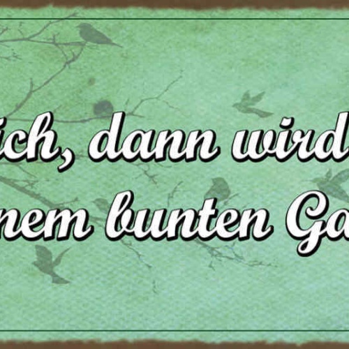 Schild Sei Fröhlich Dann Wird Die Welt Zu Einem Bunten Garten Froh Leben 27x10