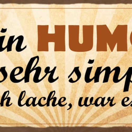 Schild Mein Humor Ist Sehr Simpel Wenn Ich Lache War Es Lustig Spaß 27x10