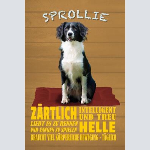 Schild spruch sprollie steckbrief zärtlich helle intelligent hund jw