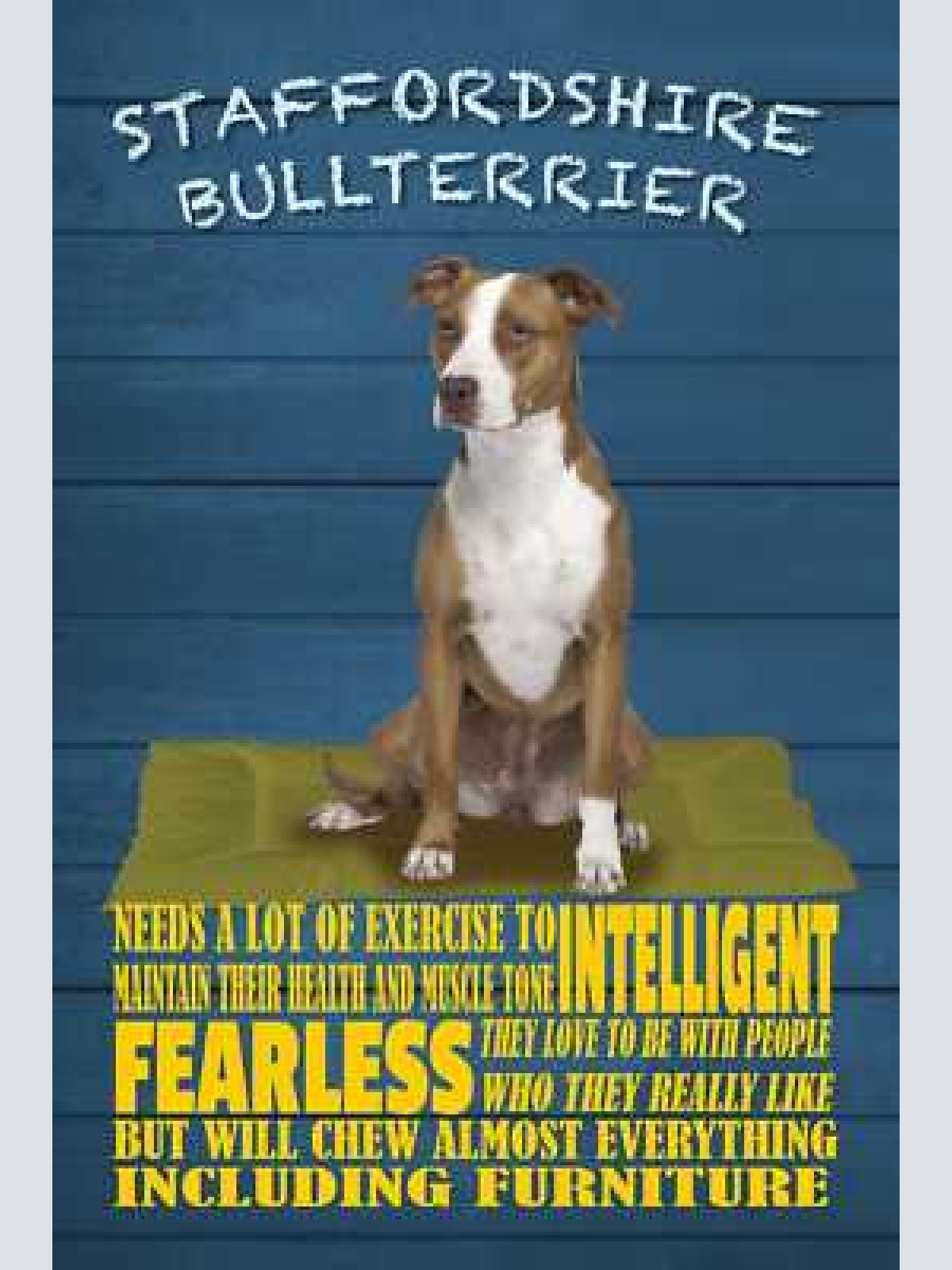 Schild spruch staffordshire bullterrier steckbrief fearless furchtlos hund jw