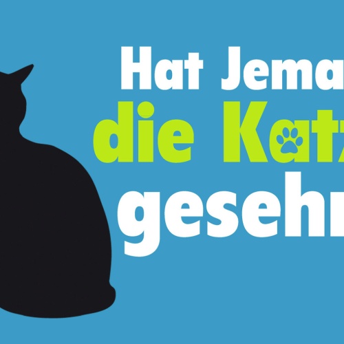 Schild Spruch Hat jemand die Katze gesehen JW