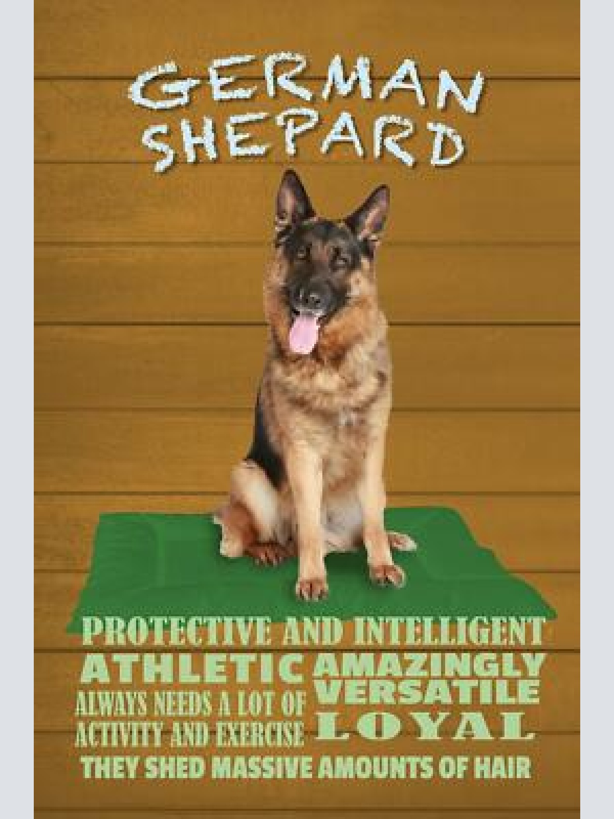 Schild spruch german shepard deutscher schäferhund steckbrief hund jw