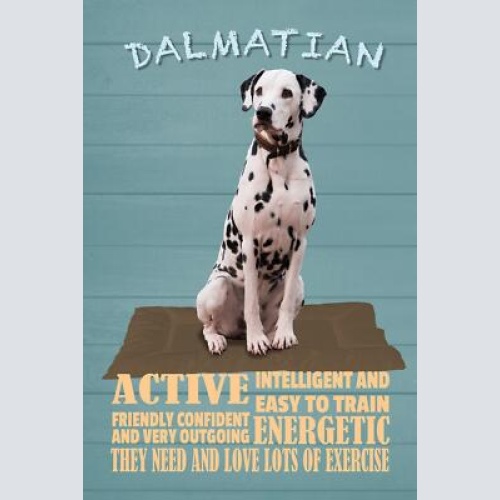 Schild spruch dalmatian steckbrief active aktiv intelligent hund jw