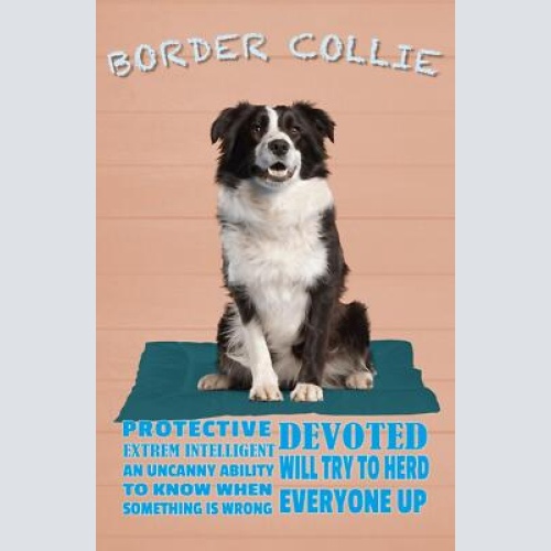 Schild spruch border collie steckbrief protective beschützend hund jw